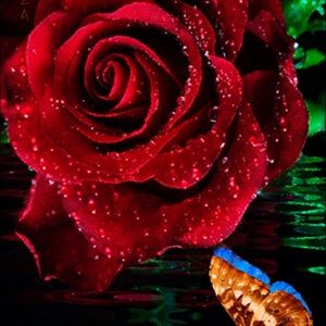 Meet your Posher, Natalia